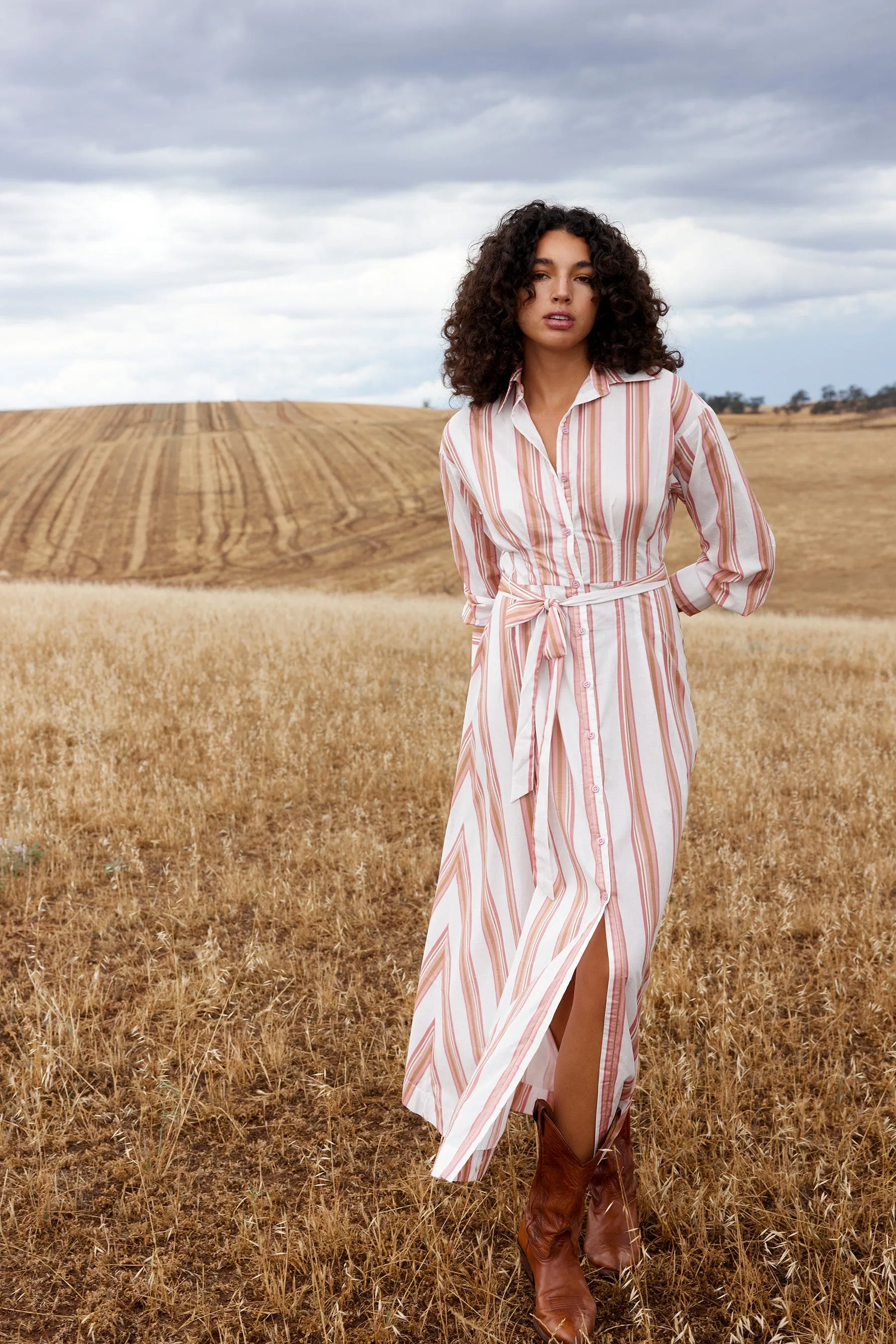 Arlet Dress - Peony / Antique Stripe