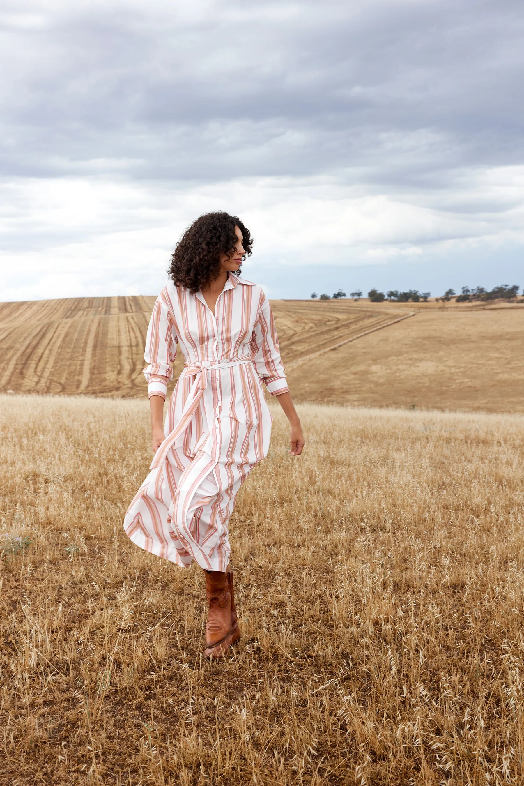 Arlet Dress - Peony / Antique Stripe
