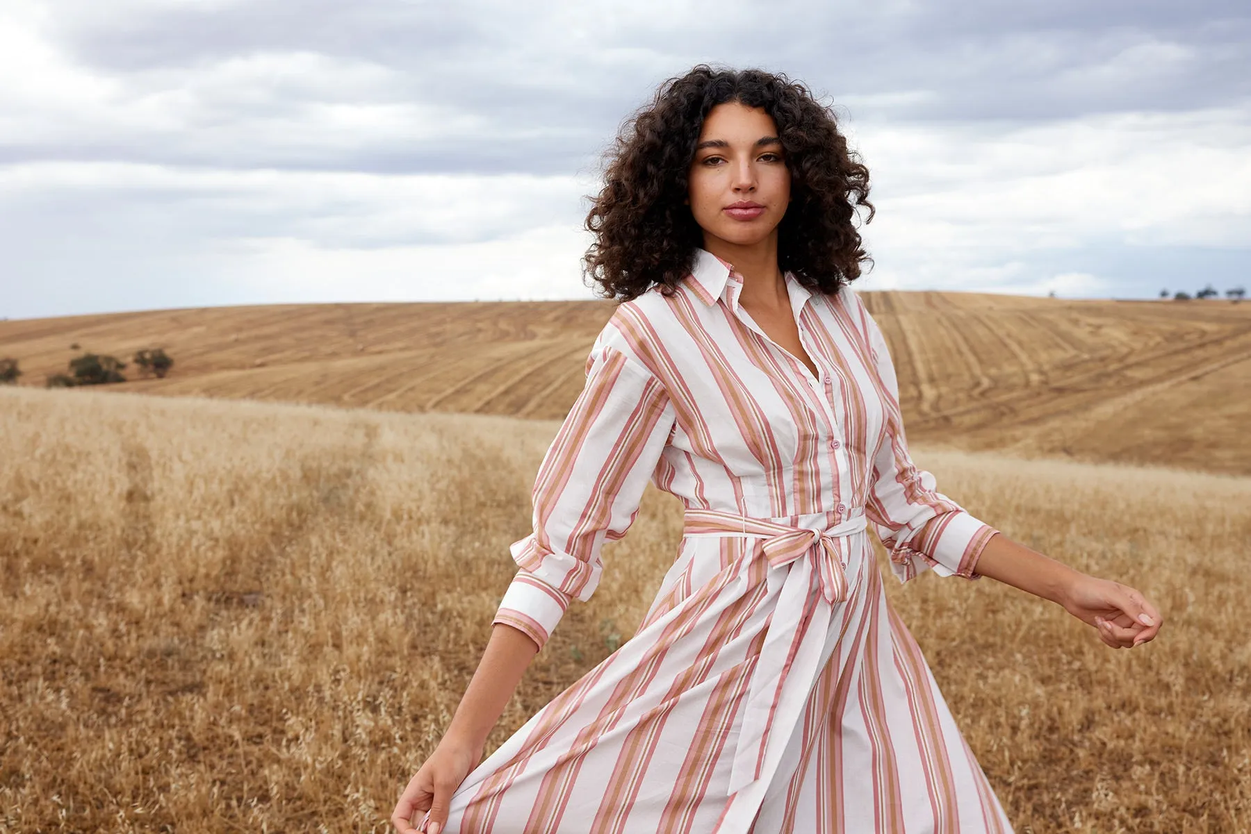 Arlet Dress - Peony / Antique Stripe