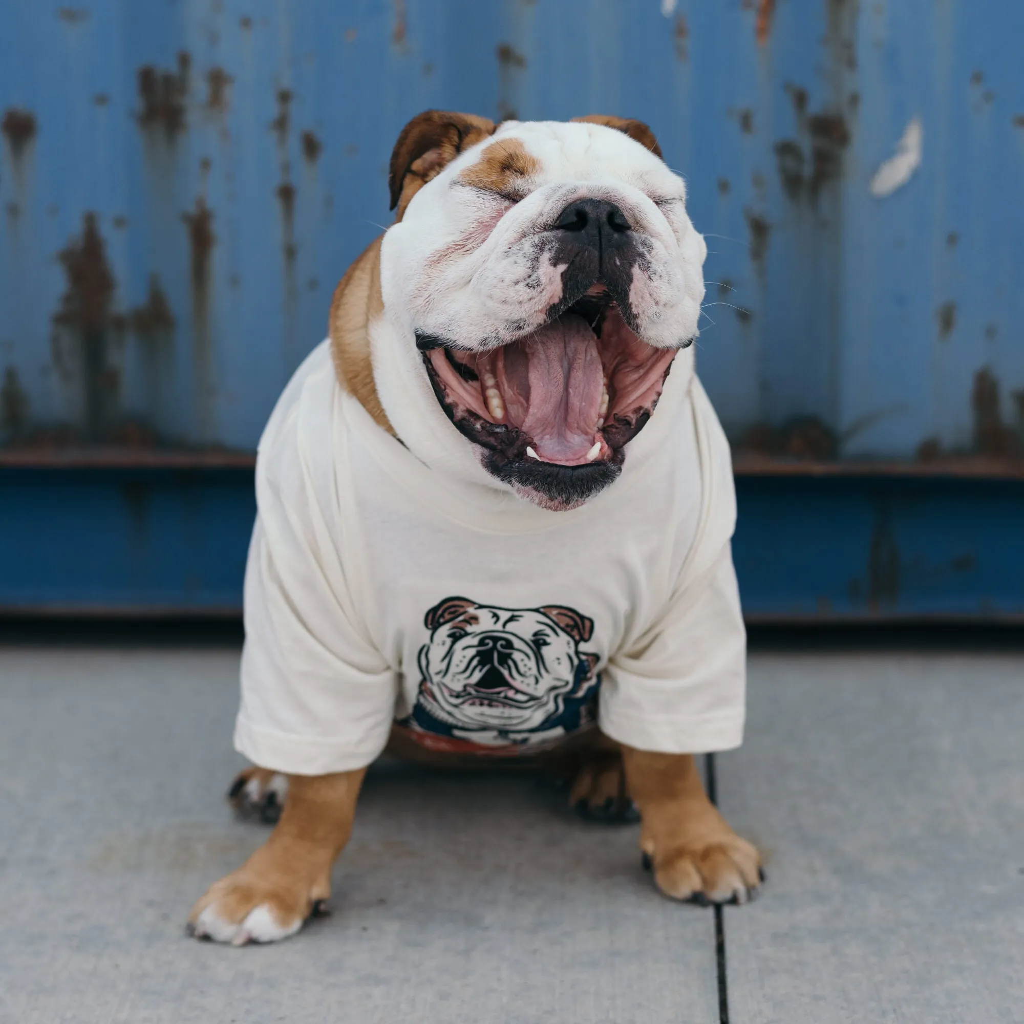 Butler Blue IV Tee