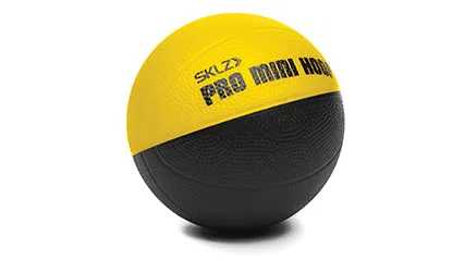 Pro Mini Hoop Micro